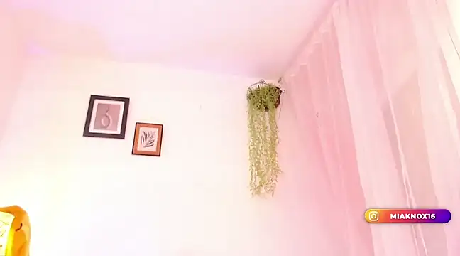 Snapshot of MiaKnox chatting on 31, 1, 2025 MiaKnox online show from 31, 1, 2025