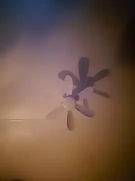 Dorset8360 online show from 18, 11, 2025