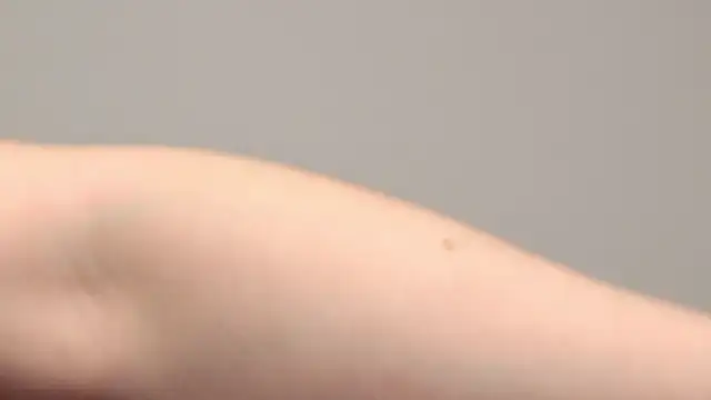 Snapshot of AliceMunro chatting on 25, 1, 2025 AliceMunro online show from 25, 1, 2025