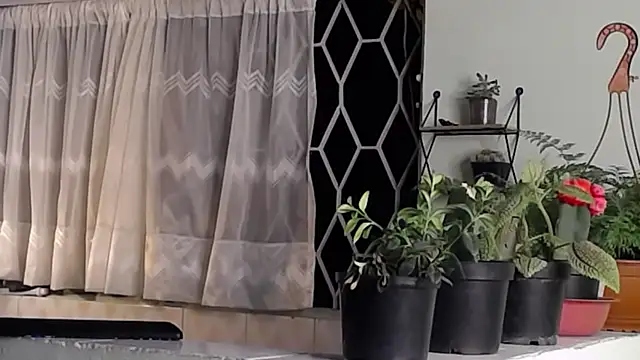 Snapshot of peyton_golden1 chatting on 16, 1, 2025 peyton golden1 online show from 16, 1, 2025