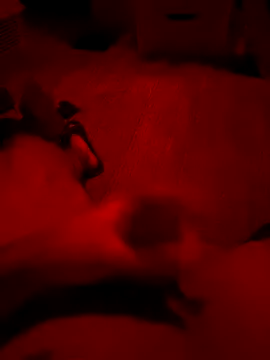 Amo 2121 online show from 5, 12, 2025