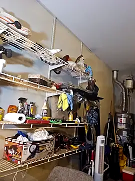 personalityalwayswins2 online show from 31, 1, 2025