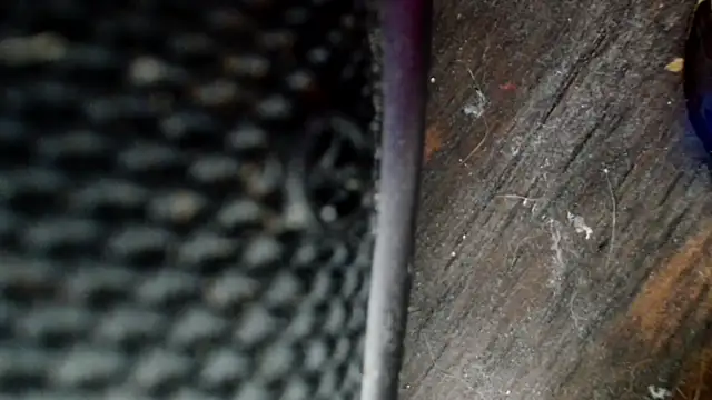 Snapshot of Gigadickman chatting on 2, 12, 2024 Gigadickman online show from 2, 12, 2024