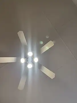 Dicktator16 online show from 15, 2, 2026