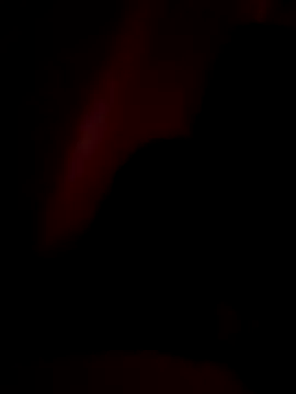 YoursAashi online show from 21, 6, 2026