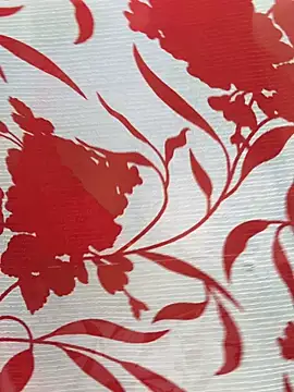 Sexy Evelynn online show from 22, 2, 2026