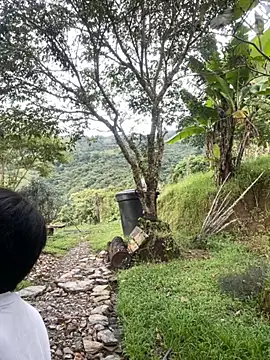 FlpGmz online show from 27, 3, 2026