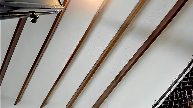 Beard xox online show from 4, 12, 2024