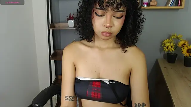 north sweet  online show from 30, 4, 2026