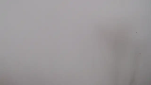 leoytessa 10 online show from 5, 12, 2024