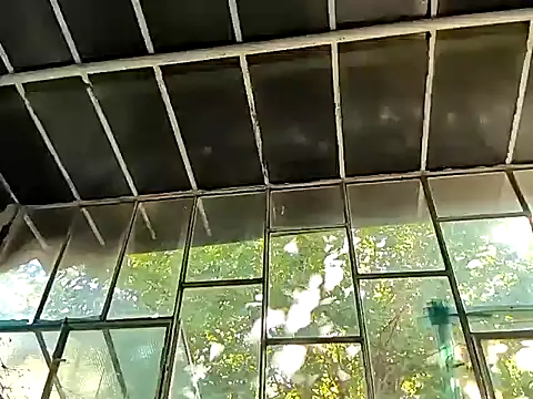 Milky hairy mommy online show from 15, 9, 2025