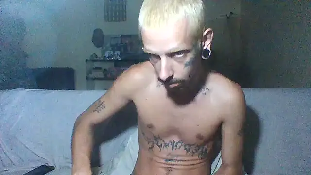 sellvageria online show from 20, 12, 2025