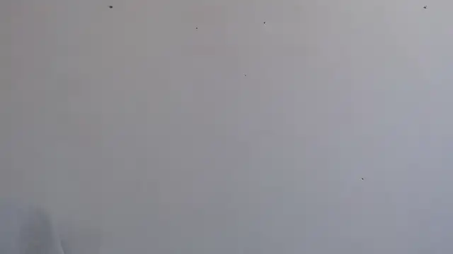 Niurca01  online show from 26, 9, 2025