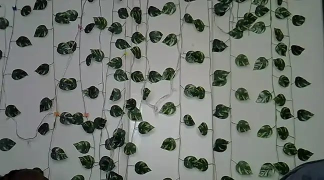 sexybree  online show from 23, 1, 2025