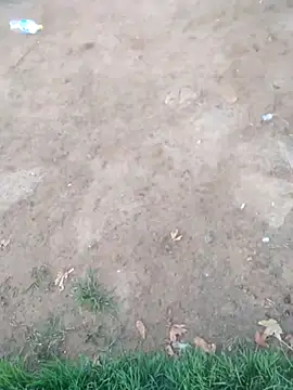 KINGJACKOFF online show from 26, 12, 2024