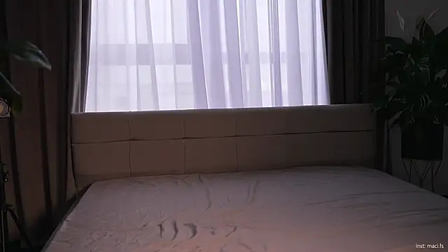 Faster maci online show from 23, 10, 2025