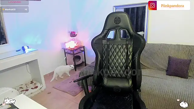 Piinkpandora online show from 25, 4, 2026