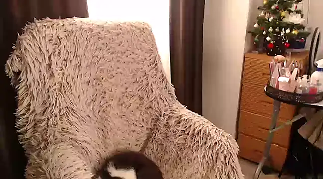 Goddessmxx online show from 13, 12, 2024