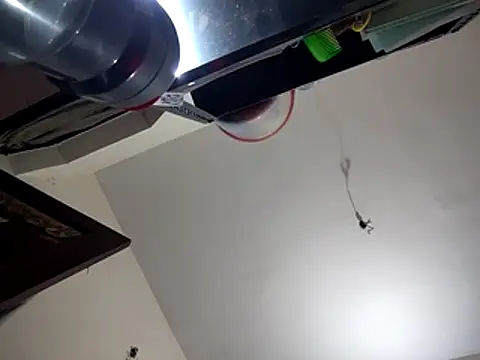 bigvorn6 online show from 29, 3, 2026