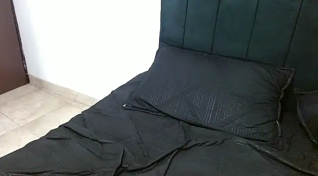 Snapshot of Hendry_ chatting on 6, 12, 2024 Hendry online show from 6, 12, 2024