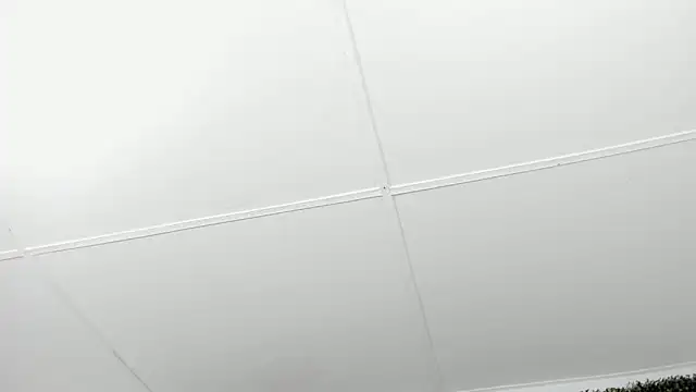 valentina 0  online show from 4, 12, 2025