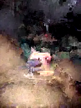 Zenfox24 online show from 7, 4, 2026