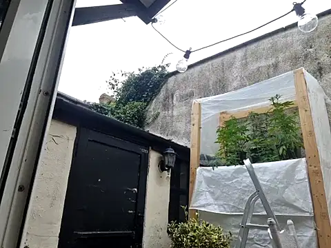 stavroun online show from 10, 9, 2025