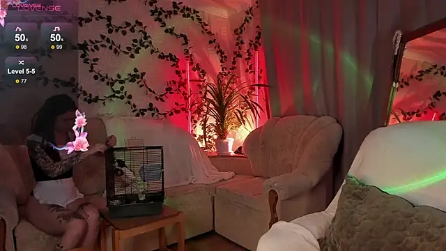  Forest Lina  online show from 11, 5, 2026