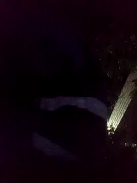 Snapshot of mis312 chatting on 18, 11, 2025 mis312 online show from 18, 11, 2025