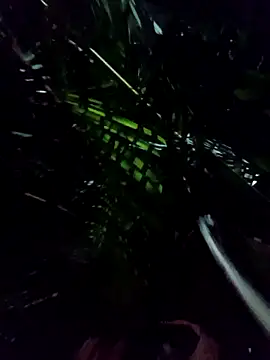 Snapshot of mis312 chatting on 8, 1, 2026 mis312 online show from 8, 1, 2026