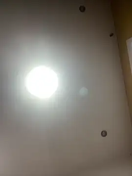 Freya Artemisa online show from 7, 3, 2026