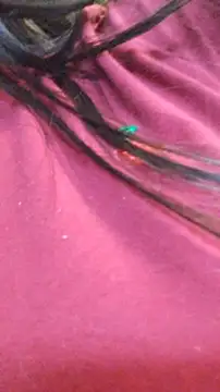 Snapshot of ailyn_miranda chatting on 29, 11, 2025 ailyn miranda online show from 29, 11, 2025