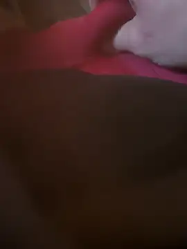 Fjome online show from 15, 11, 2025