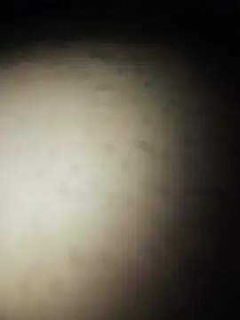 Gostosooooooooooso online show from 27, 5, 2026