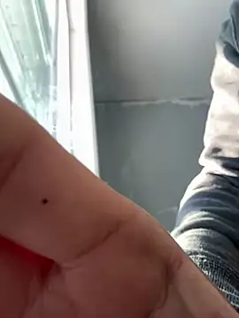 SmokingSloth online show from 6, 1, 2025