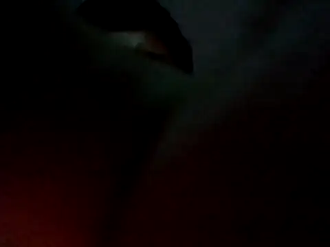 Negrito-26 online show from 25, 5, 2026