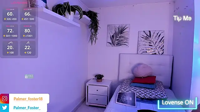 Palmer-Foster online show from 5, 3, 2025