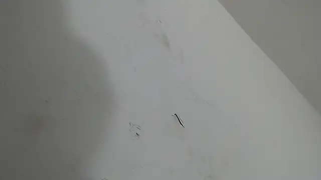 brant garciabbc online show from 18, 1, 2026