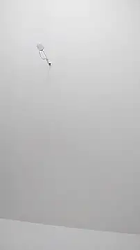 AdelinaJude online show from 2, 8, 2026