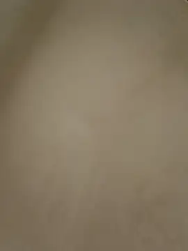 anabella1888 online show from 8, 5, 2026