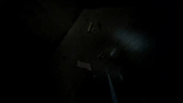 evely coelloo online show from 2, 2, 2026