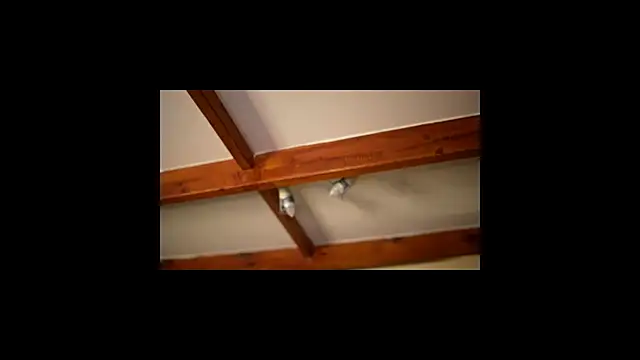 Bellis Perenis online show from 26, 2, 2026