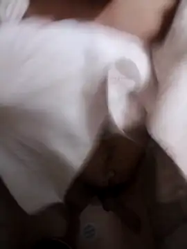 Snapshot of Professor_Leo_ chatting on 2, 2, 2026 Professor Leo online show from 2, 2, 2026