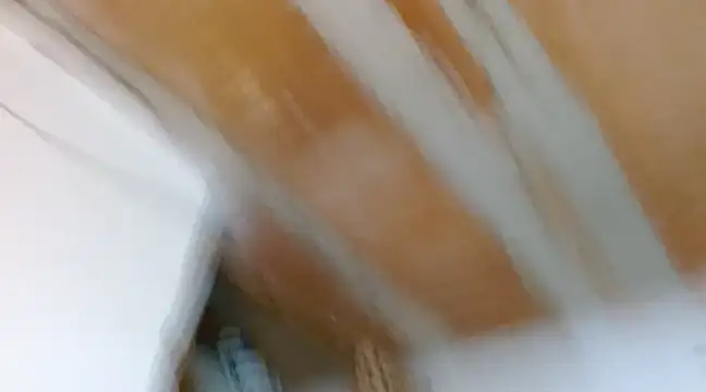 alexxa Rooa online show from 7, 2, 2025