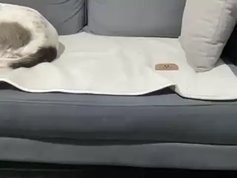 4small4inchlol online show from 19, 3, 2025