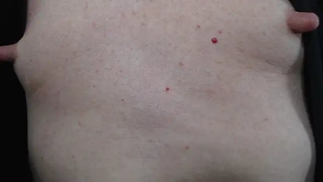 Toy-Daddy online show from 9, 3, 2025