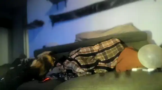 P4RtYBOII92 online show from 1, 2, 2025