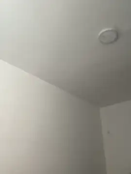 Arilw online show from 21, 11, 2025