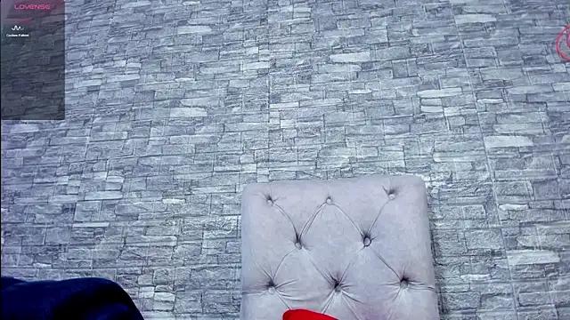 La indiia online show from 12, 12, 2024