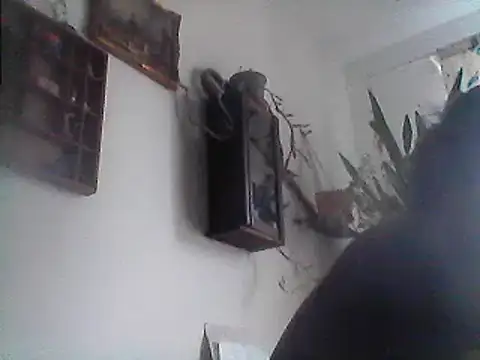 Snapshot of Bigpenis6y chatting on 29, 12, 2024 Bigpenis6y online show from 29, 12, 2024